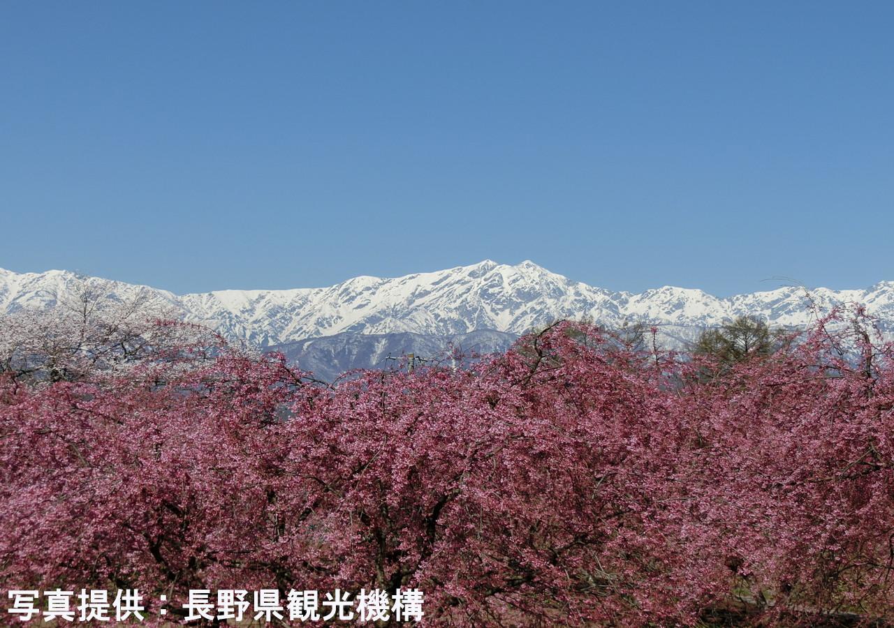 Shioriya Hotel Nagano Luaran gambar